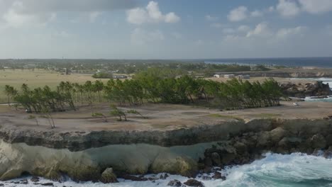 Starker-Wind-Weht-Durch-Palmenhaine-Und-Peitscht-Starke-Brandung-In-Cove-Bay-St.-Lucy,-Barbados