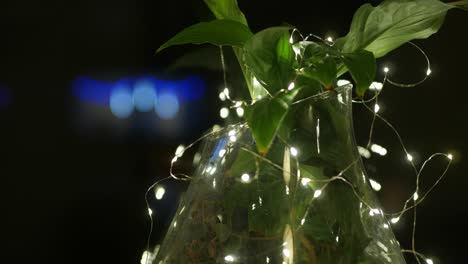 Plant-decorated-with-many-small-light-on-dark-background,-home-decoration-ideas