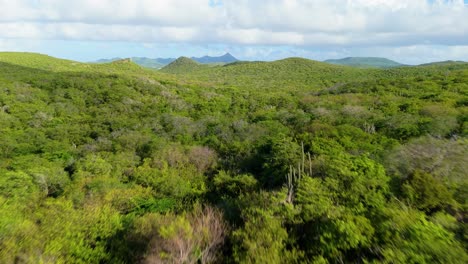 Fast-aerial-low-dolly-rises-above-dry-shrubland-of-Curacao-in-the-countryside