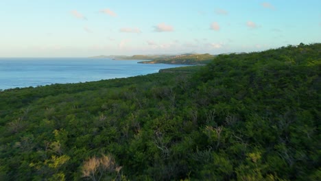 Golden-light-glows-on-edges-of-trees-in-shrubland-along-coast-of-Curacao-Westpunt