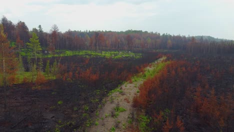 Burnt-landscape-destroyed-by-the-recent-devastating-wildfires-on-a-cloudy-day