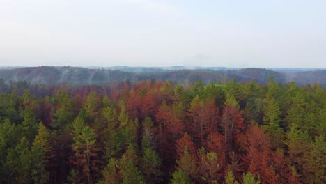 Endlose-Herbstliche-Waldlandschaft-An-Einem-Wolkigen-Herbsttag