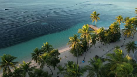 Palm-Trees-Over-White-Sand-Beach-Of-Plage-de-la-Caravelle-In-Sainte-Anne,-Guadeloupe