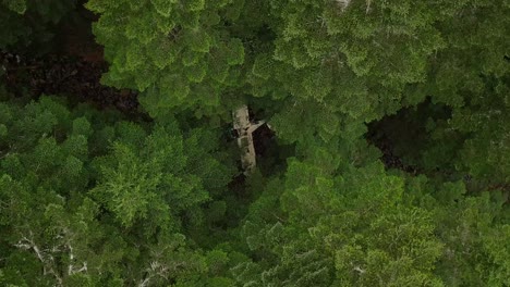 Top-down-panning-drone-shot-of-a-airplane-wreck-in-a-a-forest-in-France