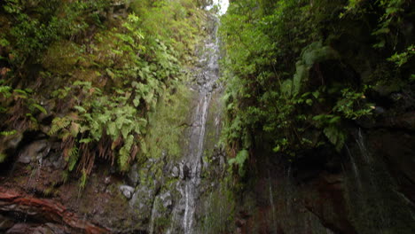 Madeira-25-Brunnen-Cascada-Da-Risco-Pan-Move-Wasserfall-Exotischer-Tropischer-Dschungel