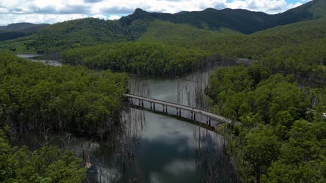 Aerial-view-over-Pine-Creek-Bridge,-Springbrook-National-Park-on-the-Gold-Coast-Hinterland,-Queensland,-Australia