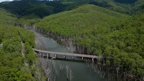 Left-to-right-aerial-view-over-Pine-Creek-Bridge,-Springbrook-National-Park-on-the-Gold-Coast-Hinterland,-Queensland,-Australia