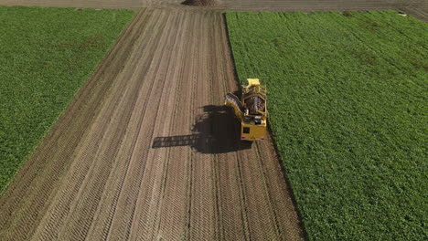 Aerial-view-of-a-beet-harvester-working-in-the-field