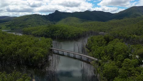 Reversing-aerial-view-over-Pine-Creek-Bridge,-Springbrook-National-Park-on-the-Gold-Coast-Hinterland,-Queensland,-Australia