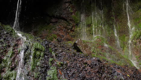 Madeira-25-Brunnen-Cascada-Da-Risco-Wasserfall-Exotischer-Tropischer-Dschungel