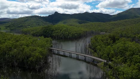 Rising-aerial-view-over-Pine-Creek-Bridge,-Springbrook-National-Park-on-the-Gold-Coast-Hinterland,-Queensland,-Australia