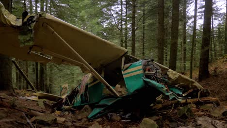 Leftovers-of-a-crashed-airplane-in-a-forest-in-Le-Pilat-in-Loire-departement-in-France