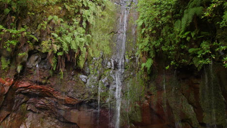 Wasserfall-25-Brunnen-Cascada-Da-Risk-Madeira-Exotischer-Tropischer-Dschungel