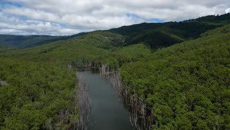Left-to-right-aerial-view-over-Nerang-River,-Springbrook-National-Park-on-the-Gold-Coast-Hinterland,-Queensland,-Australia
