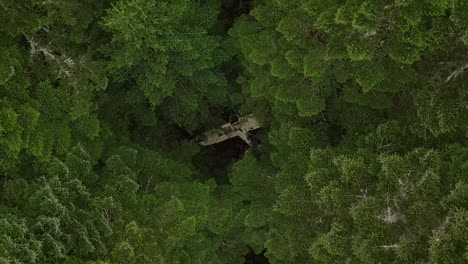 Verlassenes-Kleines-Flugzeugwrack-In-Einem-Wald-In-Frankreich