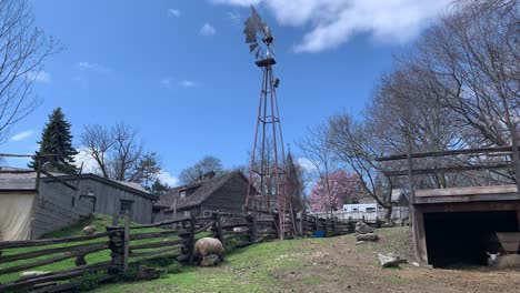 static-shot-of-an-old-metal-windmill-and-bright-blue-sky-on-a-small-farm-with-sheep-resting-an-eating-grass