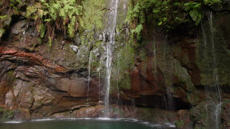 Madeira-25-Brunnen-Cascada-Da-Risco-Wasserfall-Exotischer-Tropischer-Dschungel