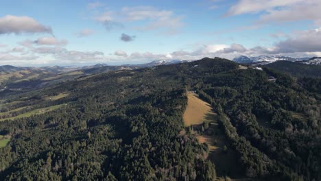 Establecimiento-De-Una-Toma-De-Drones-De-Una-Montaña-Cubierta-De-Bosques,-En-Verano,-Suiza