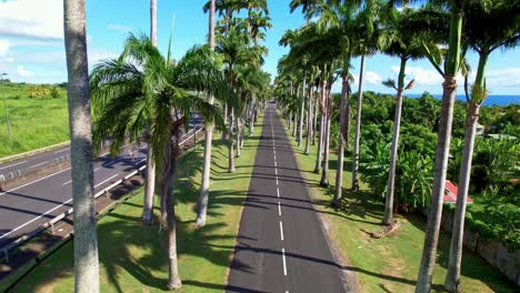 Aerial-view-of-Allee-Dumanoir-in-Guadeloupe-island,-Capesterre-Belle-Eau