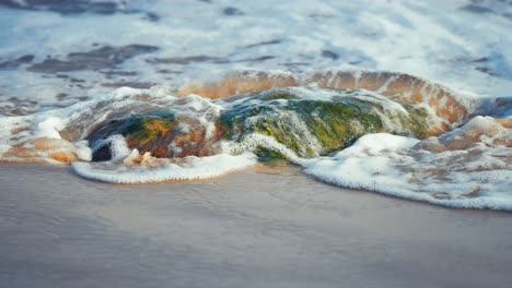 Sanfte-Wellen-Rollen-über-Den-Algenfleck-Am-Sandstrand