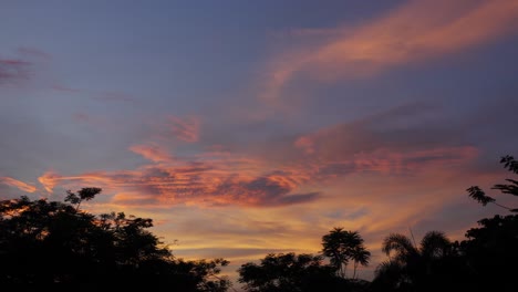 Sonnenuntergangsfarben-Malen-Den-Himmel-über-Silhouetten-Von-Bäumen,-Mit-Einem-Einsamen-Vogel-Im-Flug