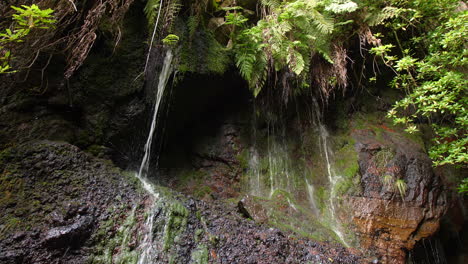 25-Fuentes-De-Cascada-Madeira-De-Risk-Waterfall-Exótica-Selva-Tropical