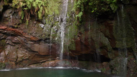 Wasserfall-Madeira-25-Brunnen-Cascada-Da-Risco-Exotischer-Tropischer-Dschungel