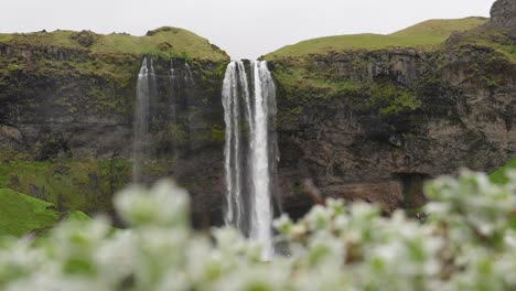 Una-Alta-Cascada-En-El-Sereno-Paisaje-Islandés