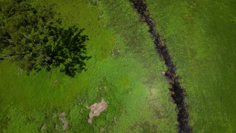 Rising-top-down-aerial-over-Mudgeeraba-creek-and-green-space,-Gold-Coast,-Queensland,-Australia