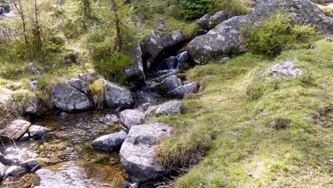 Small-mountain-stream-flows-shimmering-over-the-stony-stream-bed-between-stones-and-grassy-banks