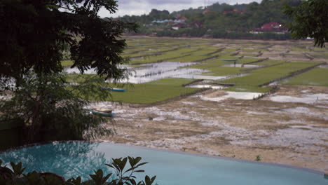 Pool-Overlooking-Seaweed-Plantation-Wetland-Field,-Indonesia