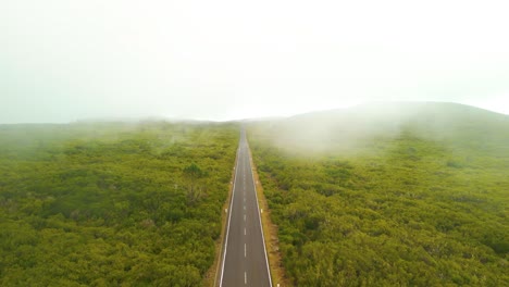 Road-Between-Dense-Forest-Woods-On-A-Foggy-Day-In-Madeira,-Portugal---Drone-Shot