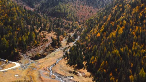 Gelbe-Bäume-Prägen-Nadelwälder,-Während-Sich-Der-Fluss-Unterhalb-Der-Sichuan-Xingduqiao-Jiagenba-Märchenberge-Windet,-Luftaufnahme