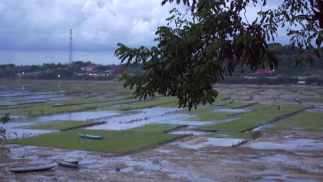 Panoramic-View-Of-Seaweed-Plantation-Wetland-Field,-Indonesia