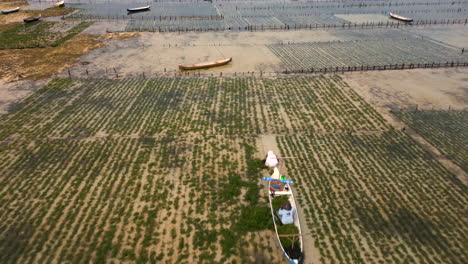 Aerial-View-Of-Farmers-On-Canoe-Working-On-Seaweed-Plantation-Field,-Indonesia