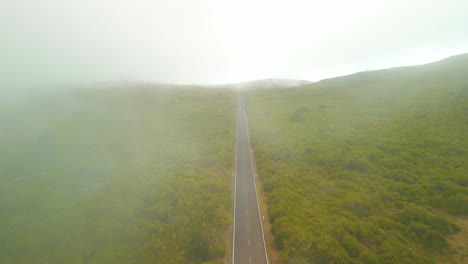 Highway-Between-Lush-Green-Forest-Trees,-Misty-Landscape-In-Madeira,-Portugal---Aerial-Shot