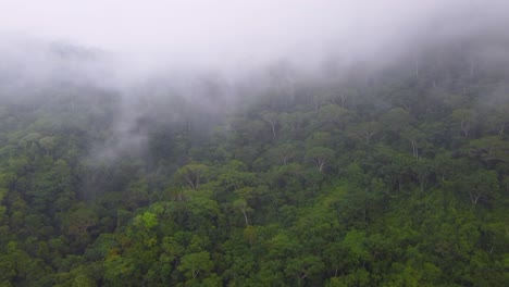 Scary-fog-envelops-lush-jungle-and-green-hills-of-Minca,-Colombia