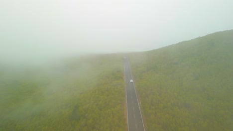Vehicles-Traveling-On-Misty-Mountain-Road-Between-Green-Forests-In-Madeira,-Portugal---Aerial-Shot