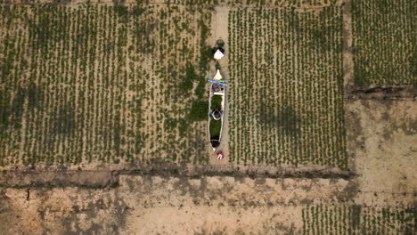 Aerial-Top-Down-View-Of-Farmer-On-Canoe-In-Seaweed-Field,-Indonesia