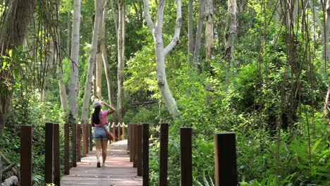 Woman-Walking-On-The-Wooden-Path-Through-The-Mangrove-Forest