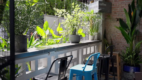 Cozy-Coffee-Shop-Ambiance:-A-Tranquil-Retreat-with-a-Balcony-Garden-Bathed-in-Sunlight