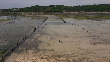 Vista-Aérea-Del-Campo-Agrícola-Inundado-Para-El-Cultivo-De-Plantaciones-De-Algas,-Indonesia