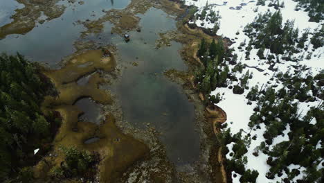 Luftaufnahme-Mit-Blick-Auf-Marschland-Und-Verschneite-Wälder-Der-Granit-Bay,-Alaska