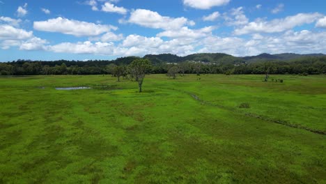 Forward-moving-aerial-over-Mudgeeraba-Creek-and-green-space,-Gold-Coast,-Queensland,-Australia