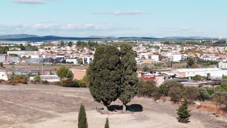 Nestled-in-charming-town-of-Saint-Aunes,-two-majestic-cypress-trees-stand-proudly