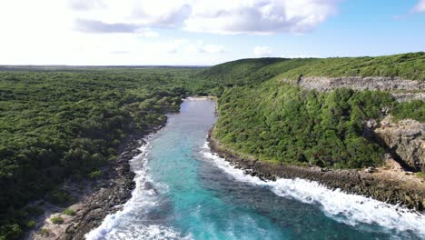Wild-jungle-and-rocky-coastline-of-Guadeloupe,-aerial-view