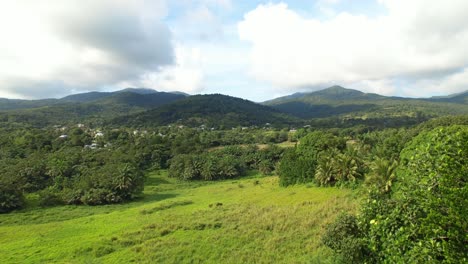 Lush-Green-Trees,-Meadow-And-Mountains-In-Summer-In-Guadeloupe,-France