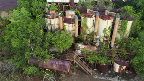 koloa-sugar-mill-equipment-overgrown-by-trees,-drone-pan