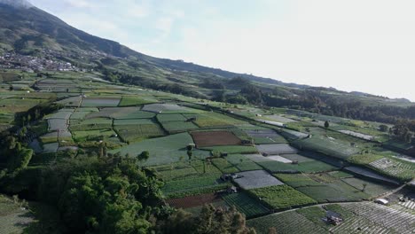 Vista-Aérea-De-Plantaciones-De-Hortalizas-En-Terrenos-Inclinados-En-Las-Laderas-De-Las-Montañas.