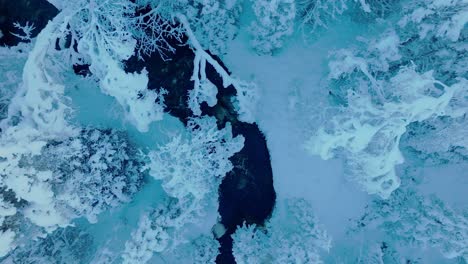 Stream-Flowing-Through-Frozen-Nature-Landscape-During-Heavy-Snow-Winter